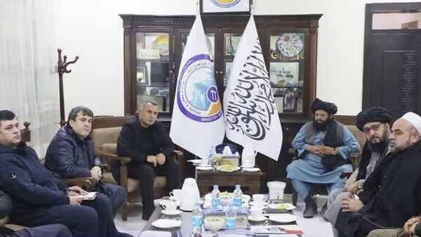 Сармоягузорони тоҷик мехоҳанд дар Афғонистон корхонаҳои семент бисозад - Sputnik Тоҷикистон