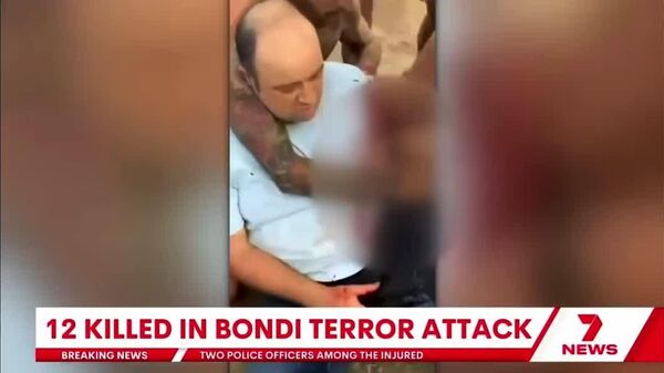 Мужчиной, который обезвредил одного из террористов в Сиднее, оказался мусульманин — 43-летний Ахмед Аль Ахмед, владелец фруктового магазина в Сазерленде - Sputnik Таджикистан