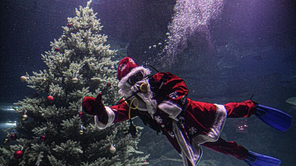 Дайвер в костюме Деда Мороза погрузился в главный морской аквариум Москвариума на ВДНХ  - Sputnik Таджикистан