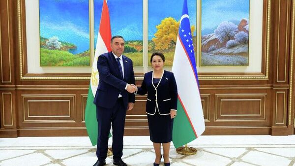 Душанбе и Ташкент расширяют сотрудничество в торговле, экономике и культуре - Sputnik Таджикистан