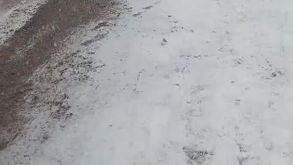 Согд утром проснулся под снегом - Sputnik Таджикистан