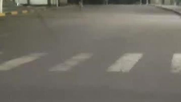 В Хороге улицы захватили волки: утренний спорт пришлось отменить - Sputnik Таджикистан