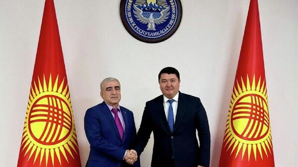 Официально ближе к людям: Таджикистан и Кыргызстан откроют консульства в Худжанде и Оше - Sputnik Таджикистан