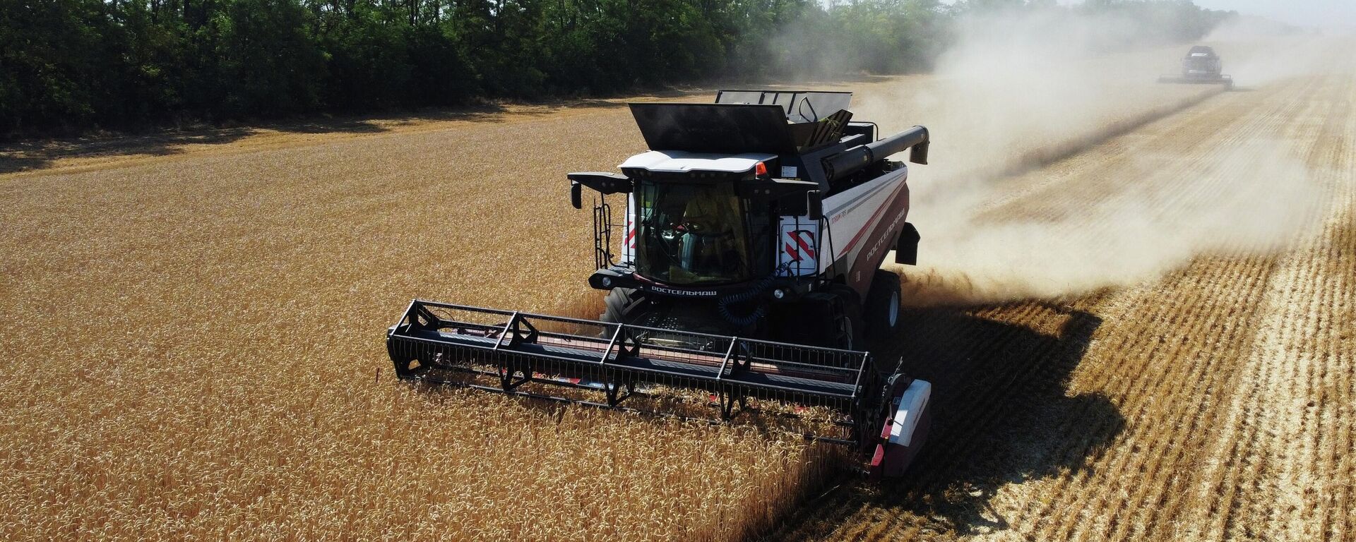 Сбор урожая пшеницы в Ростовской области - Sputnik Тоҷикистон, 1920, 21.12.2025