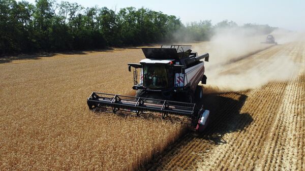 Сбор урожая пшеницы в Ростовской области - Sputnik Таджикистан