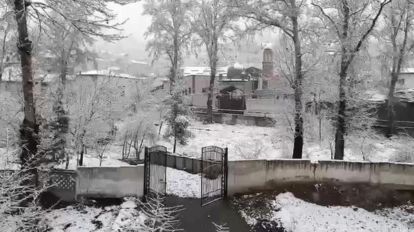 А вот так припорошило снегом Душанбе днем - Sputnik Таджикистан