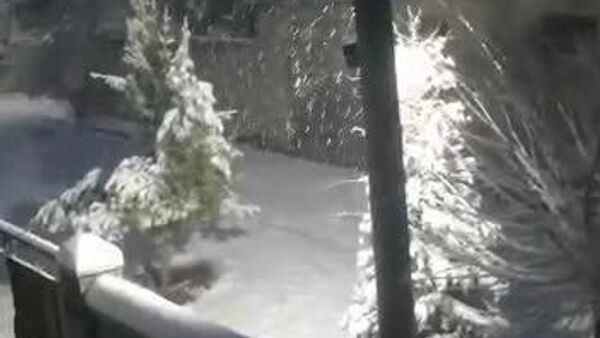 Согдийскую область накрыл снегопад - Sputnik Таджикистан