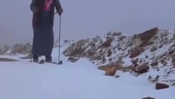 Снежное королевство - Sputnik Таджикистан