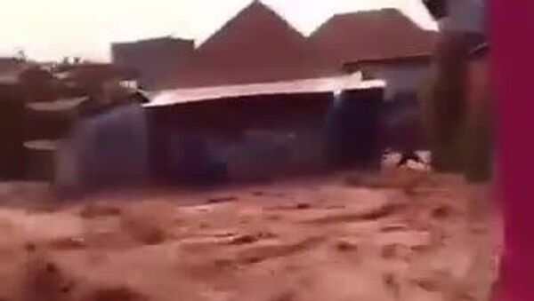 Свыше 1,1 тыс - Sputnik Таджикистан