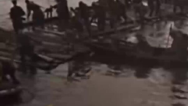 Кам парранда то миёни дарё парвоз мекунад - Sputnik Тоҷикистон