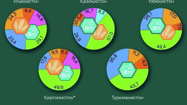 Тоҷикистон яке аз чанд ҷумҳурии собиқи Шӯравӣ боқӣ мемонад, ки пас аз ба даст овардани истиқлолият саноатикунонии иқтисоди худро ба анҷом нарасонидааст - Sputnik Тоҷикистон
