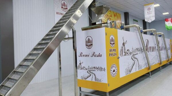 Визит Эмомали Рахмона в Бохтарский регион завершился вводом более 60 объектов в Джайхунском, Балхском, Кушаниенском и других районах - Sputnik Таджикистан