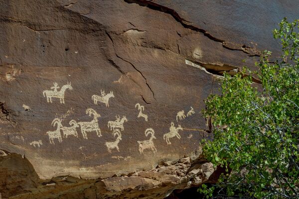 Петроглифы на ранчо Вулф - это обозначенное указателями место наскальной живописи индейцев юте, предположительно изображающее сцену охоты, в национальном парке Арчес недалеко от Моаба, штат Юта, США. - Sputnik Таджикистан