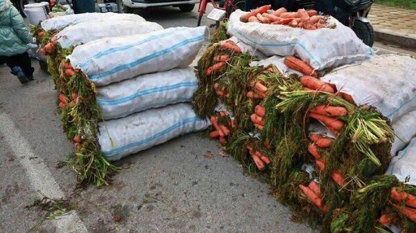 Дар Хуҷанд низ чун Душанбе бахшида ба Соли нав ярмарка-фурӯши маҳсулоти кишоварзӣ ташкил гардид - Sputnik Тоҷикистон