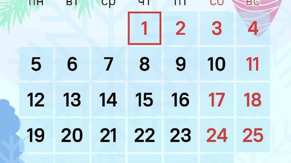 Как будут отдыхать таджикистанцы в январе? - Sputnik Таджикистан
