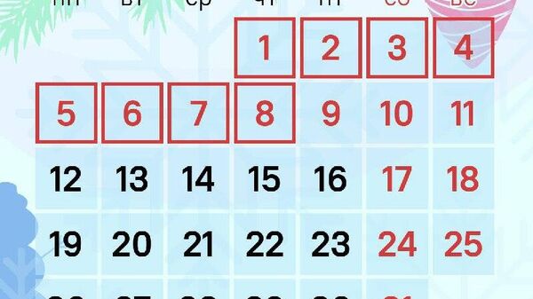 Мигрантов в России, как и всю страну, ждут длинные выходные в честь Нового года и Рождества в январе - Sputnik Таджикистан