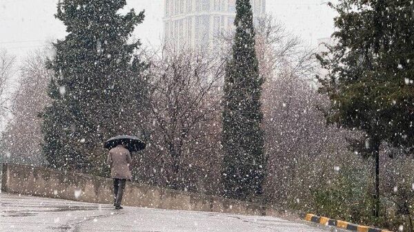 Соли нав дар Душанбе барфӣ шуд - Sputnik Тоҷикистон