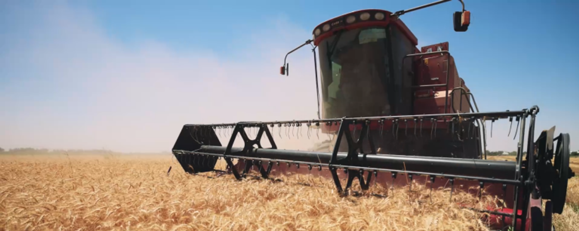 В фермерских хозяйствах и сельскохозяйственных предприятиях республики выращено более 8,1 миллиона тонн зерна - Sputnik Таджикистан, 1920, 05.01.2026