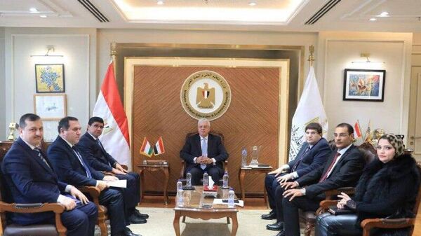 Таджикистан и Египет развивают академические образовательные обмены - Sputnik Таджикистан