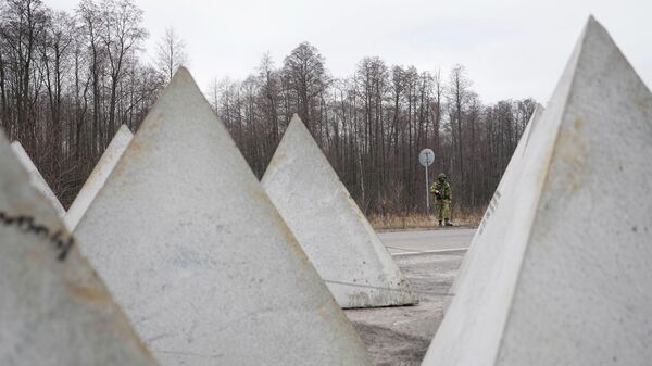 Белорусский пограничник осматривает дорогу от белорусского пограничного пункта Новая Гута до украинского пограничного пункта Новые Ярыловичи. Архивное фото - Sputnik Таджикистан