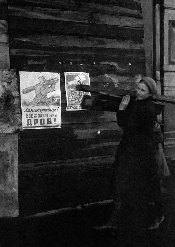 Заготовка дров в осажденном городе. - Sputnik Таджикистан