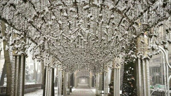 И хотя на дворе уже середина января, свежий снег придал новогодней атмосферы Душанбе. - Sputnik Таджикистан