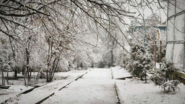 Кӯчаҳои шаҳр комилан холӣ шудаанд. - Sputnik Тоҷикистон