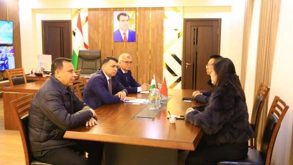 Технологический университет Таджикистана укрепляет международные связи - Sputnik Таджикистан