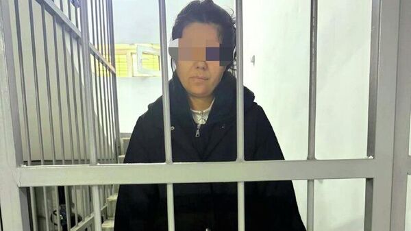 Дар Душанбе занеро барои рабудани ҷавоҳирот аз кӯдакон дастгир карданд - Sputnik Тоҷикистон