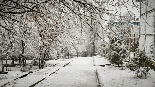 Кӯчаҳои шаҳр комилан холӣ шудаанд. - Sputnik Тоҷикистон