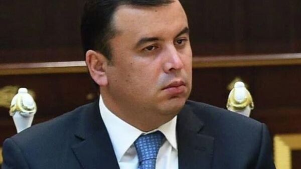 Гендиректор аэропорта Душанбе выдвинут в депутаты городского собрания - Sputnik Таджикистан