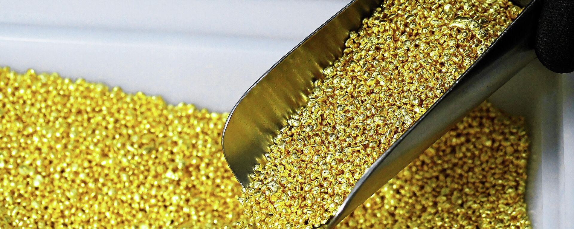 Сотрудник наполняет ёмкость гранулированным золотом высшей пробы 99,99 на Красноярском заводе цветных металлов имени В. Н. Гулидова.  - Sputnik Таджикистан, 1920, 21.01.2026