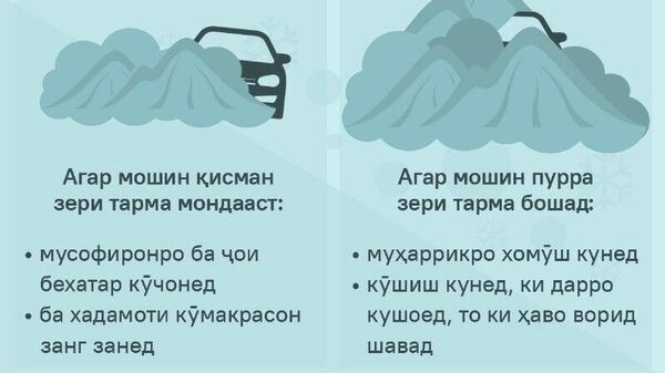 Тарма мошинро фаро гирифт - Sputnik Тоҷикистон