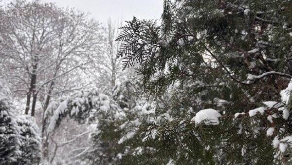 Подписчики @SputnikTj показали кадры заметенных улиц столицы - Sputnik Таджикистан