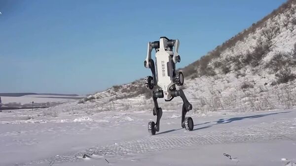 Будущее наступило: в Китае испытали робособаку в условиях тридцатиградусного мороза - Sputnik Таджикистан