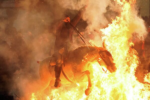Саворае дар арафаи Рӯзи Сент-Энтони, ҳомии ҳайвонот дар Испания, дар ҷашнвораи солонаи Luminaria дар байни оташ савор мешавад. - Sputnik Тоҷикистон