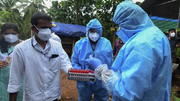 Медицинские работники берут образцы крови у коз для анализа после смерти 12-летнего мальчика от вируса Нипах в Кожикоде, штат Керала, Индия - Sputnik Таджикистан