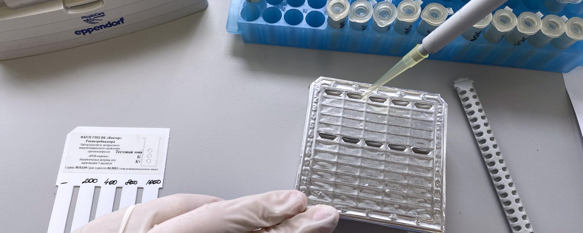 Тест-система для выявления случаев заражения вирусами. Иллюстративное фото - Sputnik Таджикистан, 1920, 28.01.2026