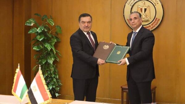 Таджикистан и Египет упростили визовый режим для обладателей служебных и диппаспортов, сообщает МИД республики - Sputnik Таджикистан