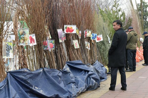 Все в праздничном оформлении парка имени Фирдавси свидетельствовало о приближении посевной кампании. Все в праздничном оформлении парка имени Фирдавси свидетельствовало о приближении посевной кампании. - Sputnik Таджикистан