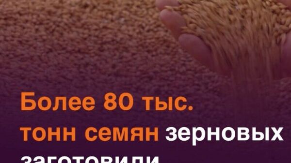 Таджикистан готовится к посевной кампании - Sputnik Таджикистан