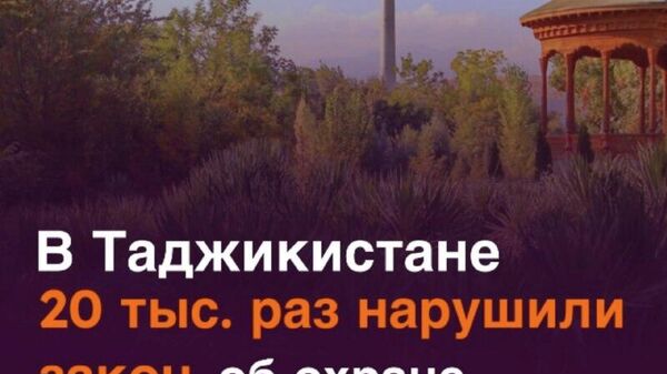Таджикистан сокращает нарушения в области охраны окружающей среды - Sputnik Таджикистан