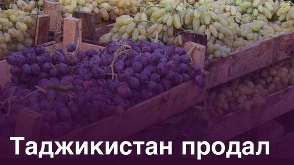 Таджикистан экспортировал в Россию виноград на $3,4 млн - Sputnik Таджикистан