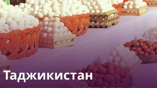 Таджикистан произвел более 1,4 млрд яиц - Sputnik Таджикистан