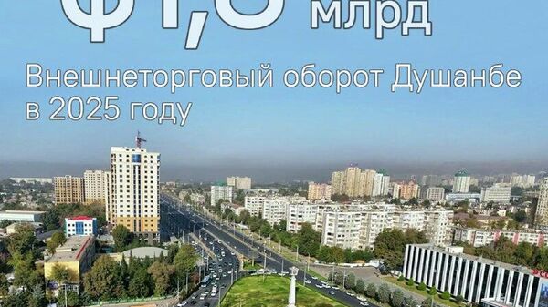 Душанбе закупил за рубежом товаров на $1,5 млрд - Sputnik Таджикистан