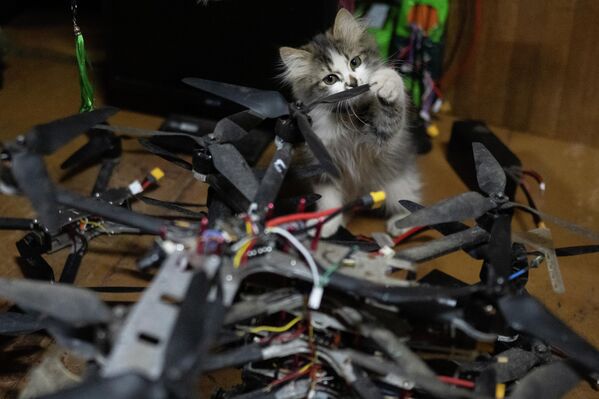 Озмоиши сапёрҳои гурӯҳи тактикии "Каштана". - Sputnik Тоҷикистон