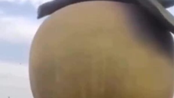 В Исфаре снесли макет огромного абрикосового дерева - Sputnik Таджикистан