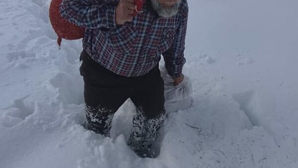 ‍⬛ Таджикские лесники спасают животных - Sputnik Таджикистан