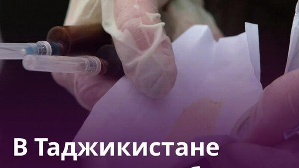 В Таджикистане изъяли более 5 тонн наркотиков за прошлый год, сообщили в МВД РТ - Sputnik Таджикистан