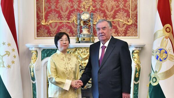 Эмомалӣ Раҳмон бо Президенти Бонки Осиёии Сармоягузориҳои Инфрасохторӣ хонум Тсзоу Ҷиайи - Sputnik Тоҷикистон